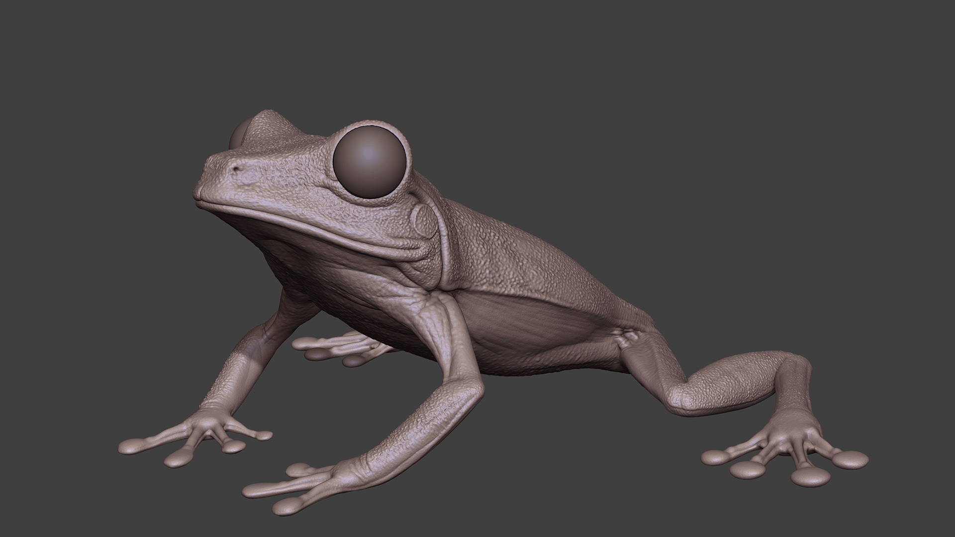 LeafFrog_04.jpg