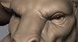 thumb.jpg