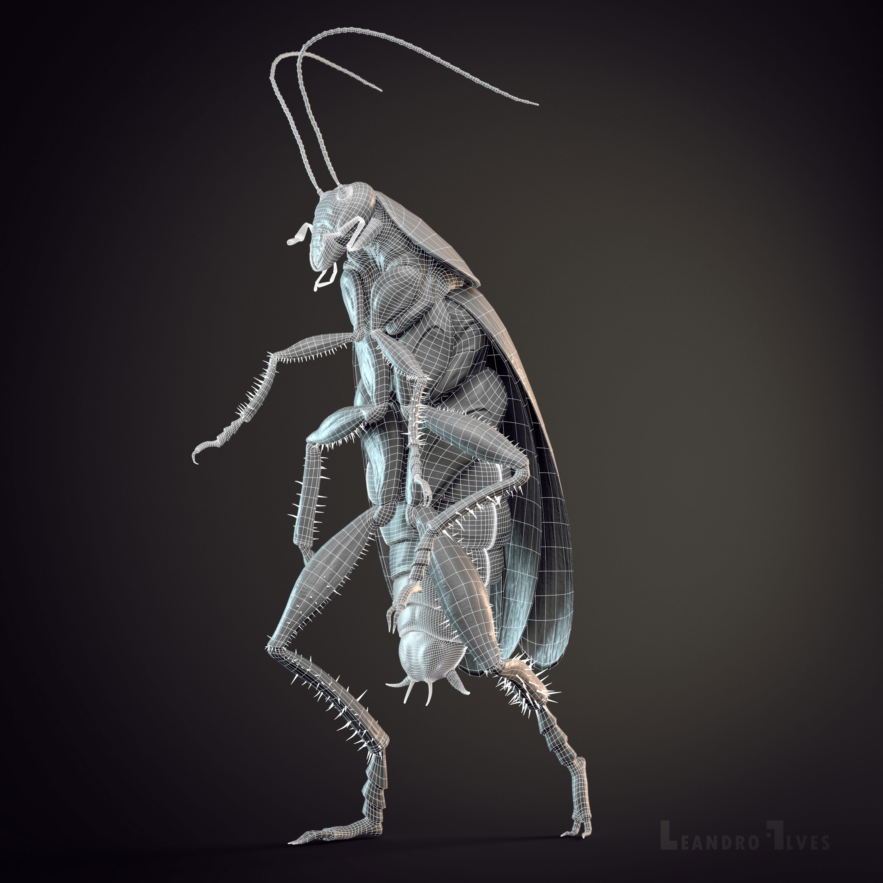 WIREFRAME_01.jpg