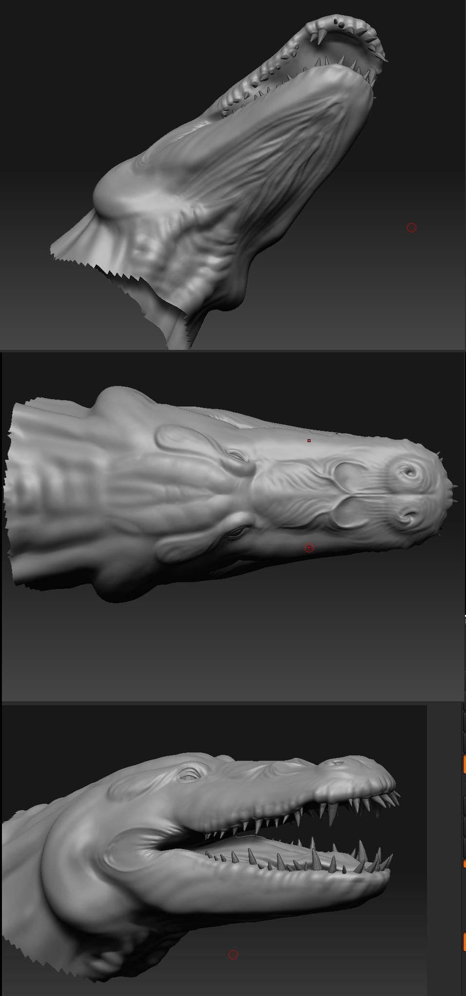 croco2.jpg