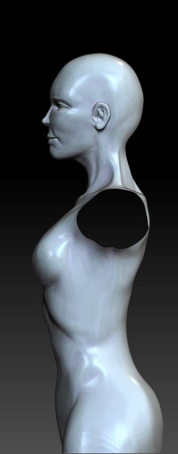 FEMALE ANATOMY retry16.jpg