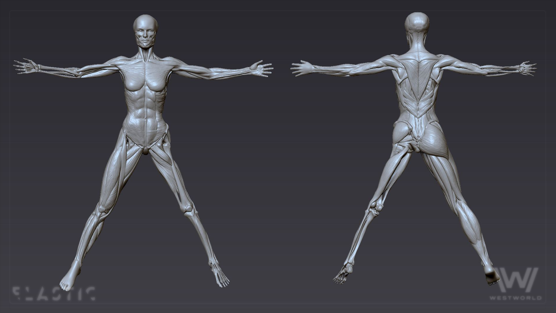 ww2_zbrush_vitruvian_01.jpg