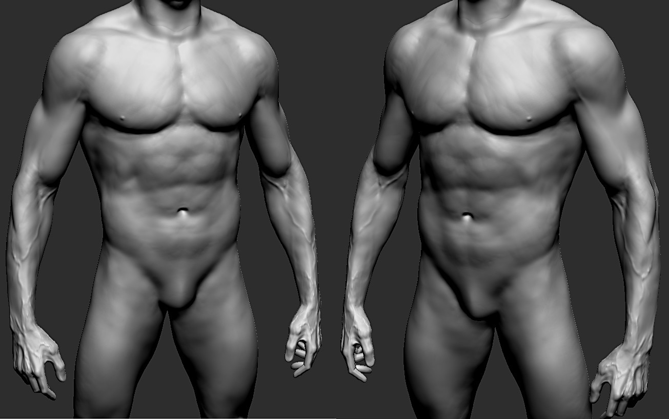 rino-zvizdic-anatomy-torso.jpg