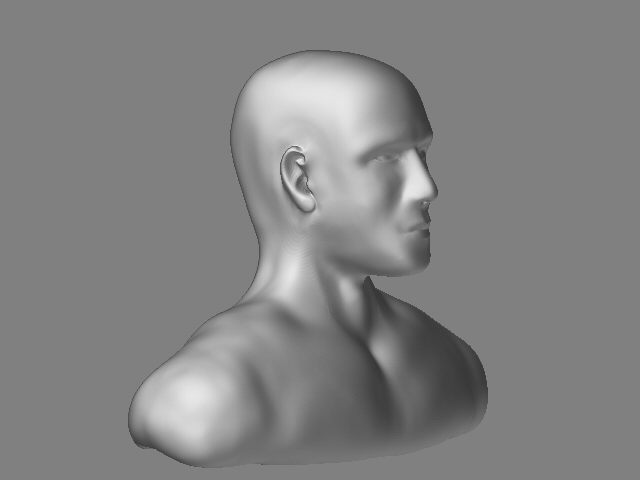Male Bust2.jpg