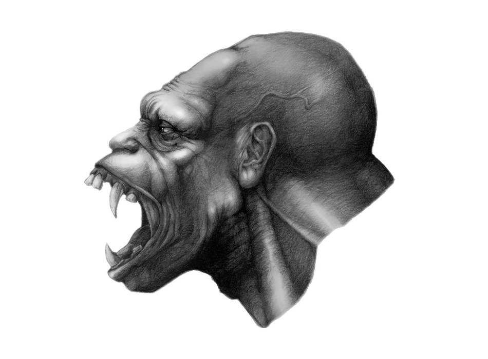 profile_final_D5.jpg