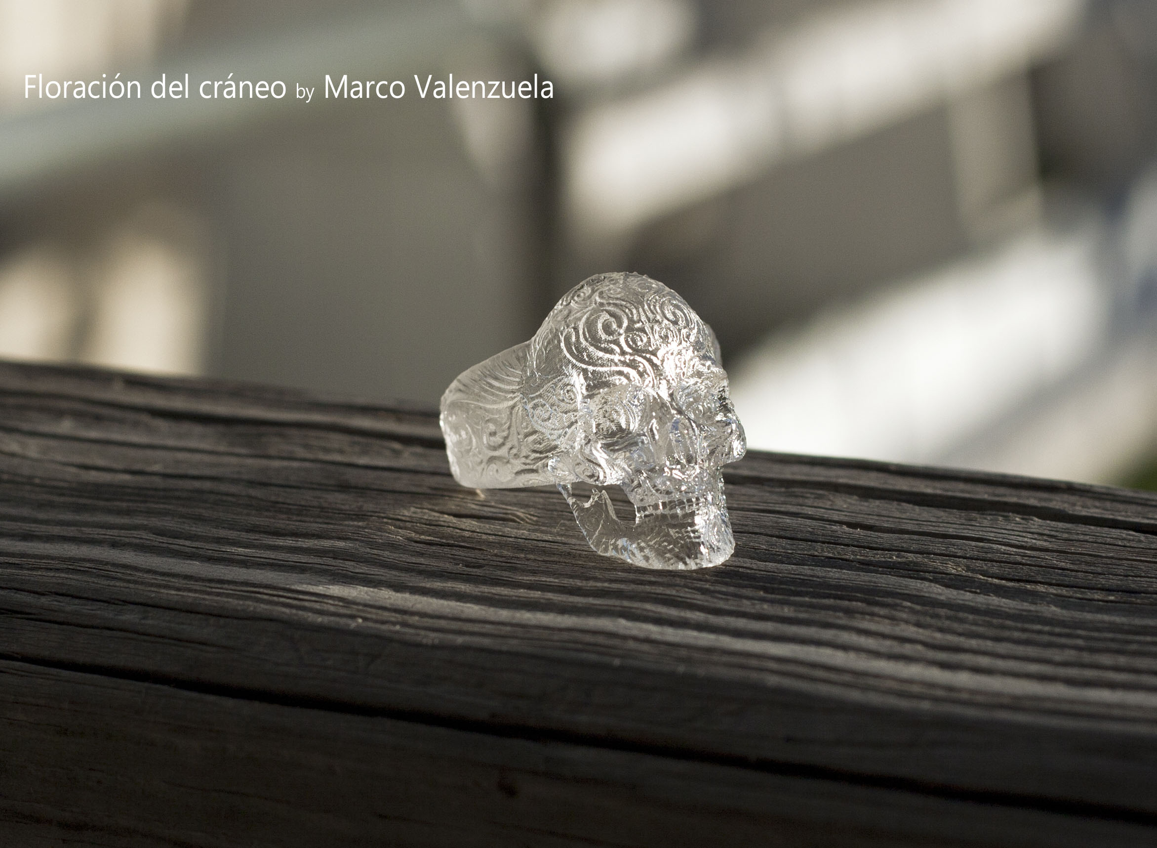 Skull_Ring_WaterShedClear02_web.jpg