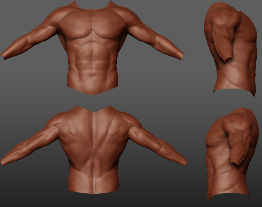 anatomystudy.jpg