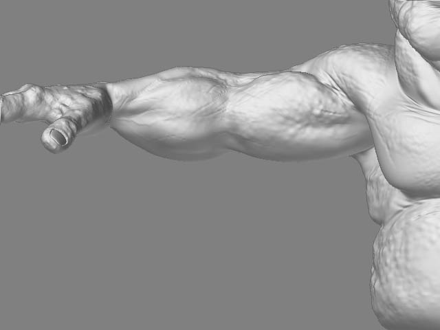 arm1.jpg