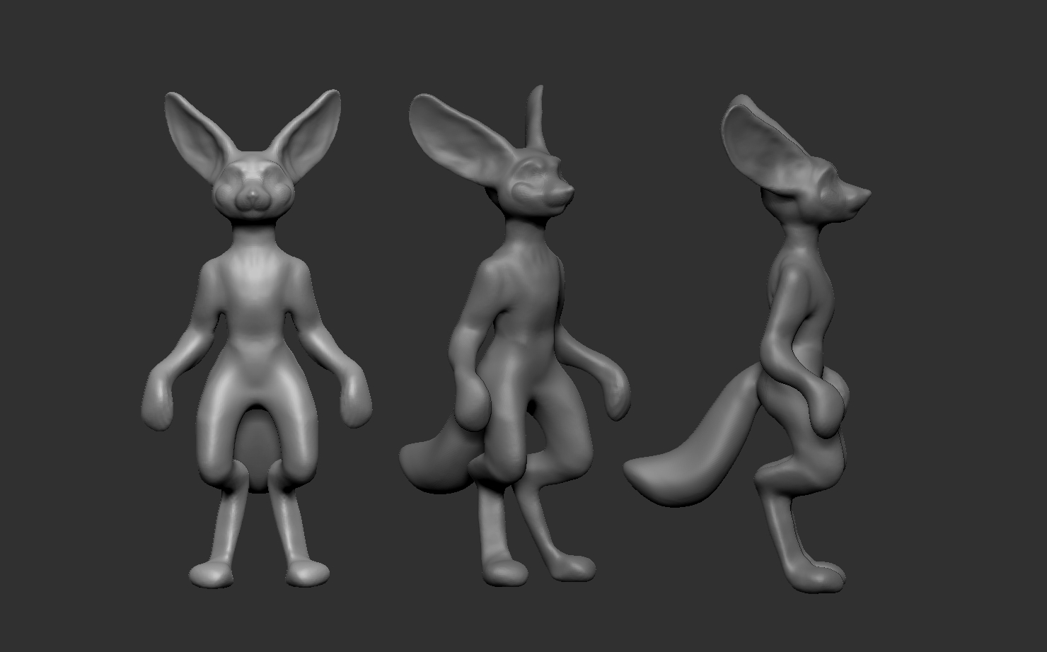 fennec fox views.jpg