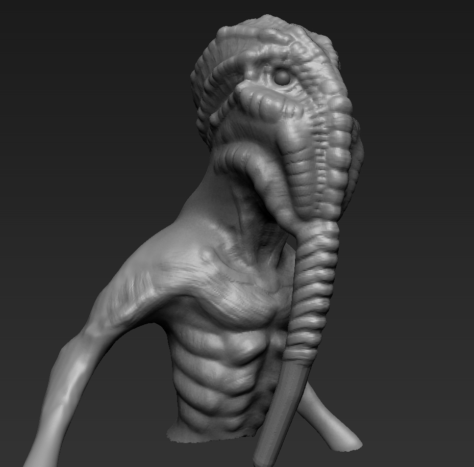 Jockeywip.jpg
