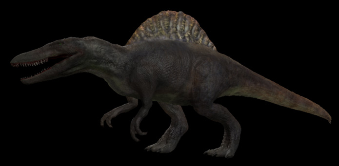 spino2.jpg