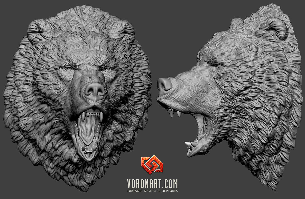 angry-bear-digital-sculpting-3d-model-01