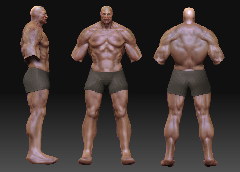 wip2.jpg