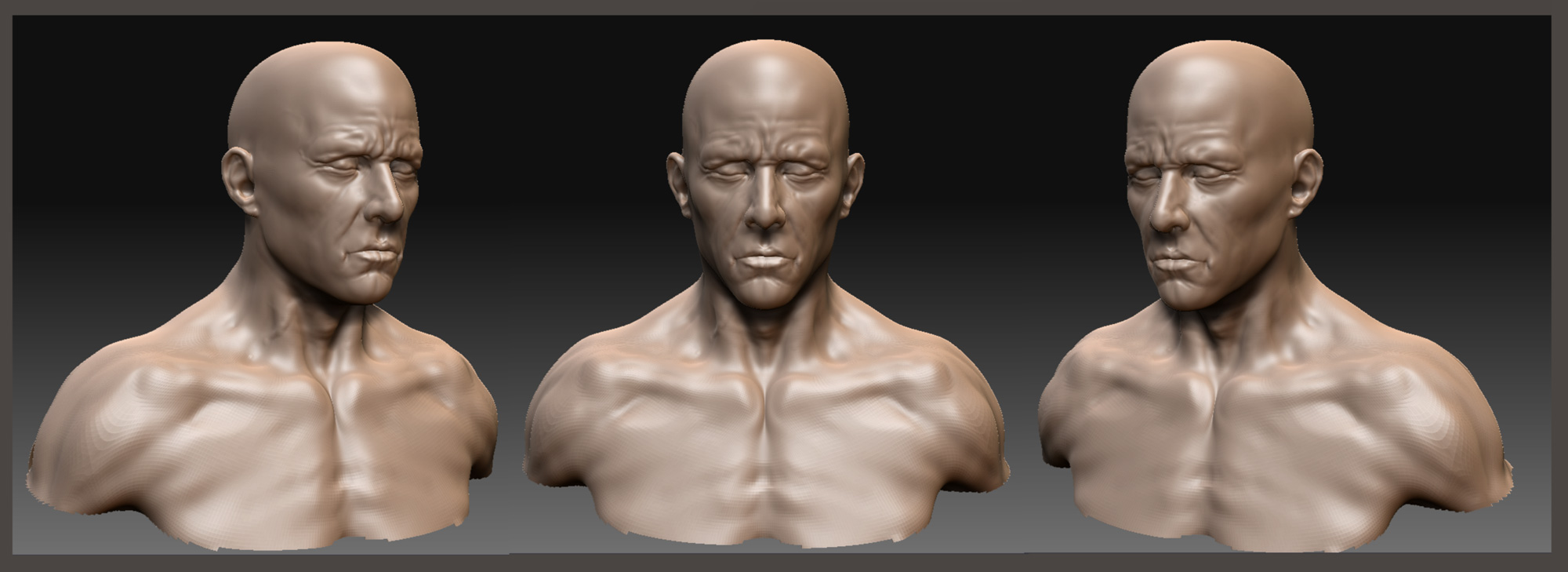 anatomy_13.jpg