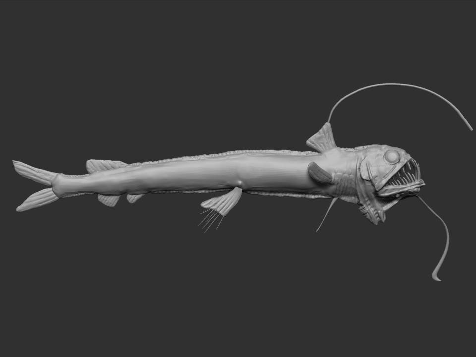wsg odm fish basic v1.jpg
