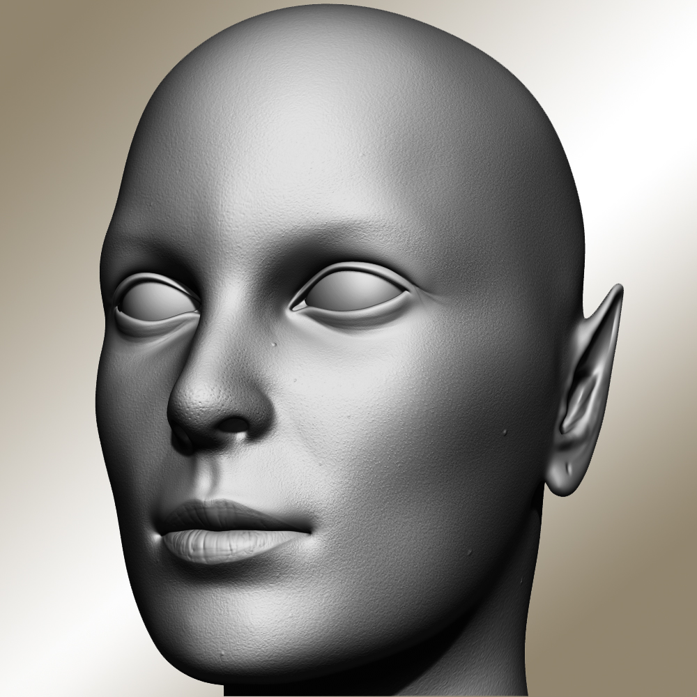 Head.jpg