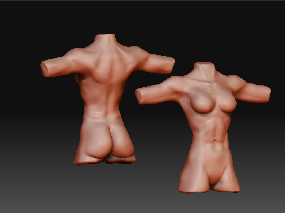 FemaleTorso2009.jpg
