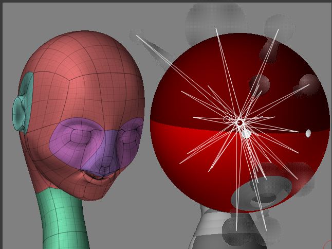 head.jpg