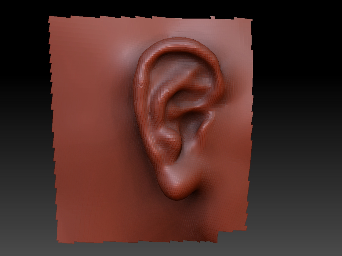 Ear.jpg