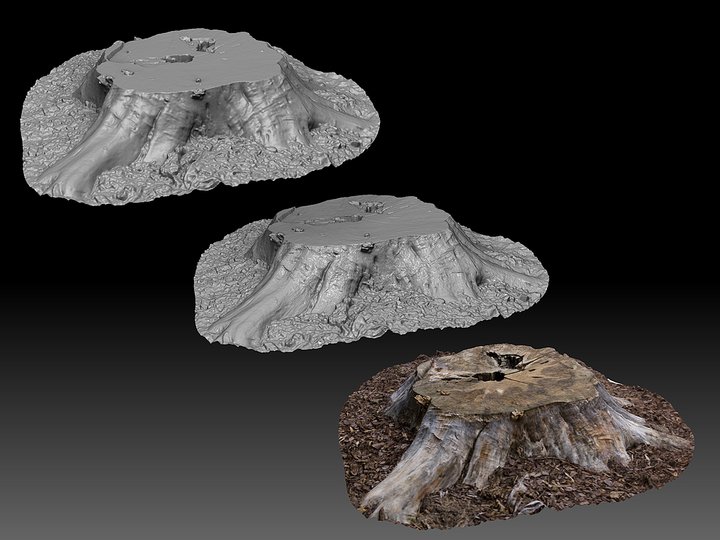 stump1.jpg
