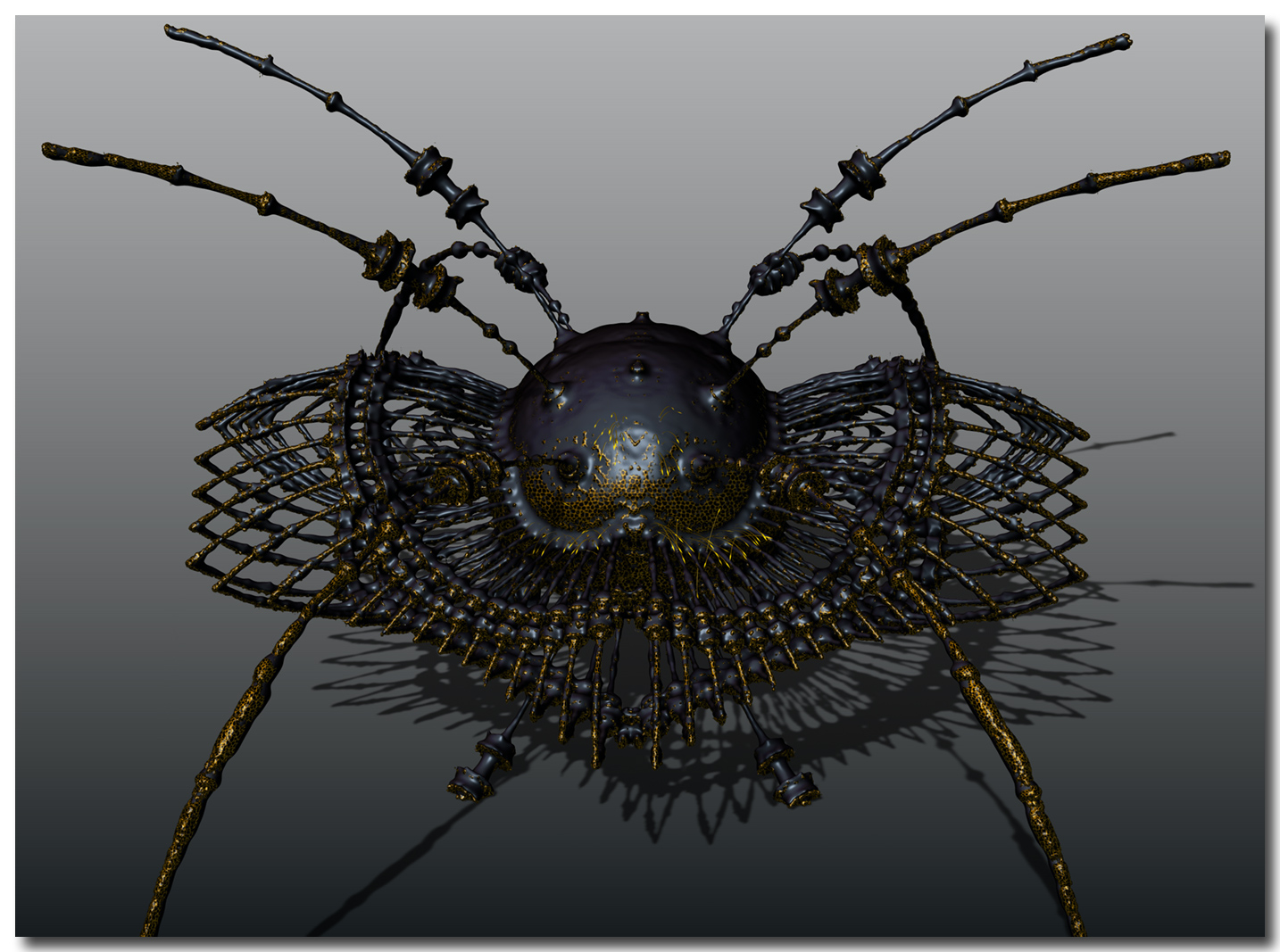 SpiderLarge2.jpg