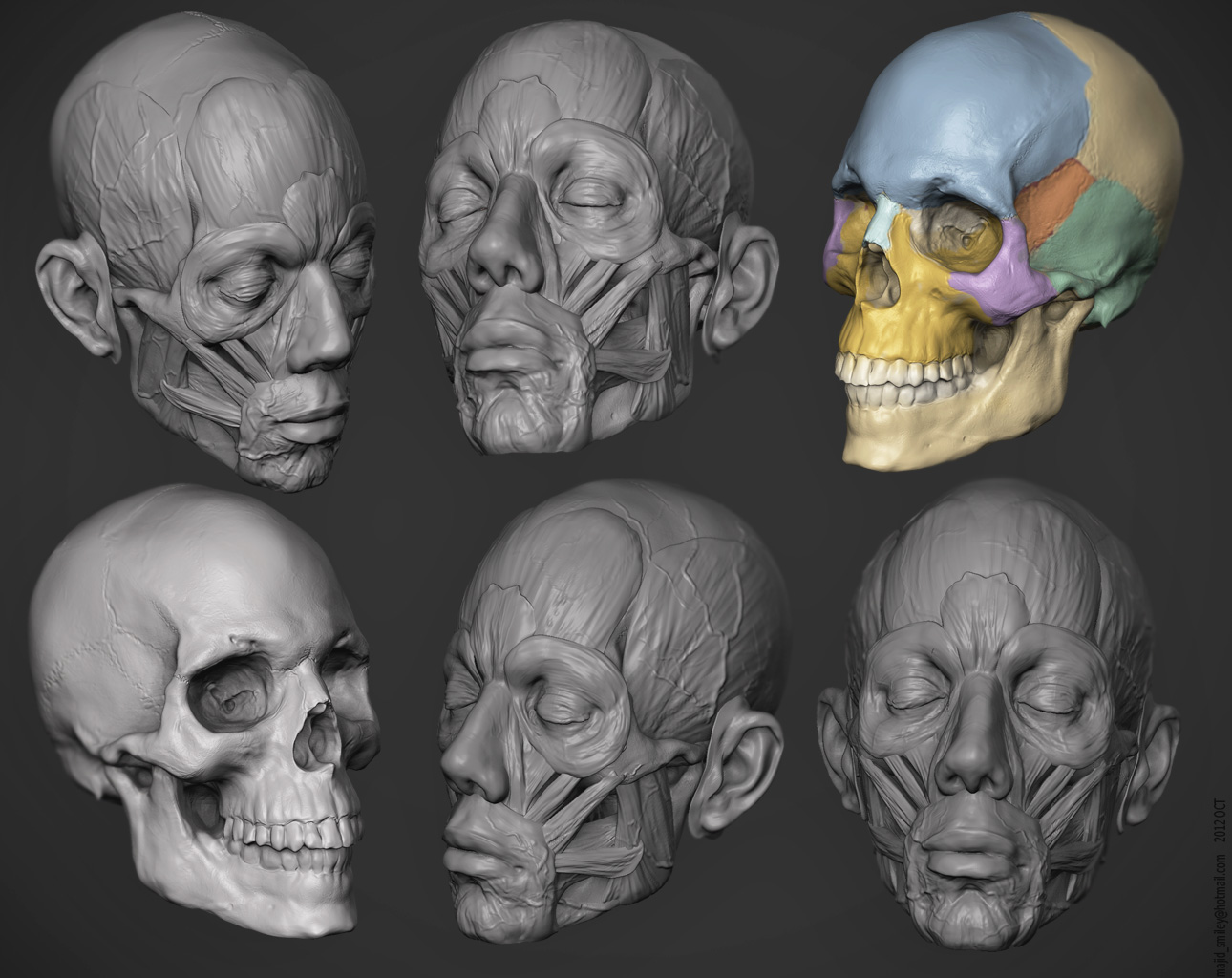 Study3.jpg