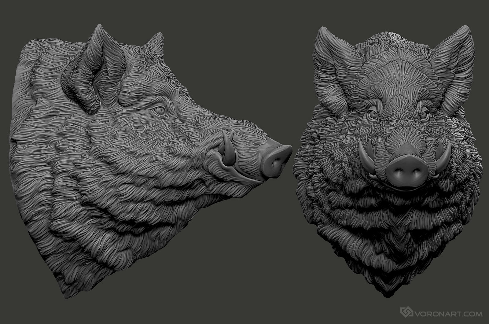 wild-boar-wall-sculpture-faux-taxidermy-zbrush-01.jpg