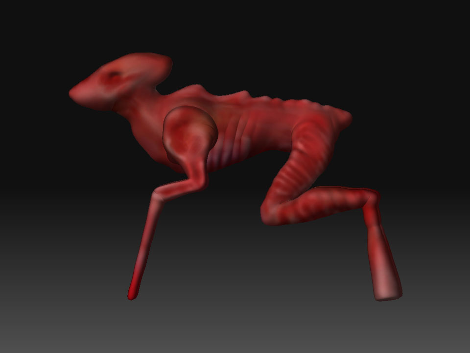 Deer.jpg