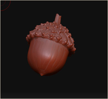 acorn.jpg