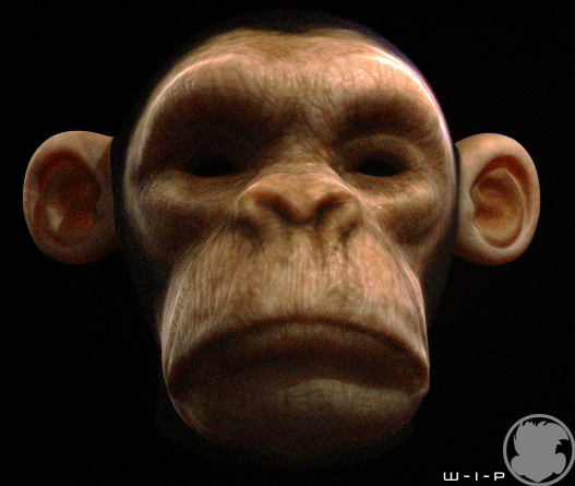 monkeyTestNw.jpg