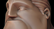ZBC1.jpg