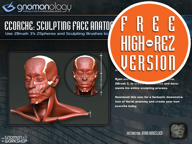 skullecorche_title_highrezP.jpg
