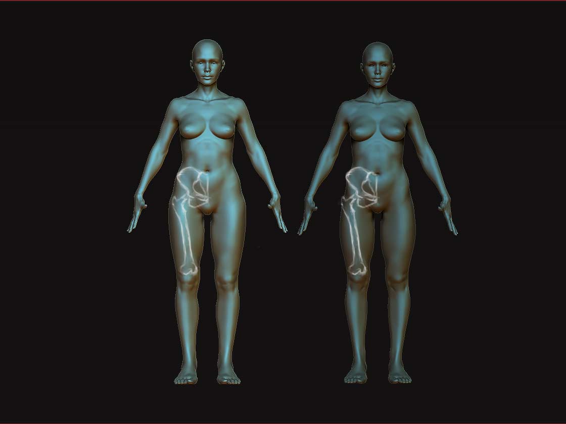 Female-Body-Base-update-13-Jan-anatomy-check.jpg