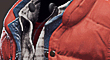 thumb4.jpg