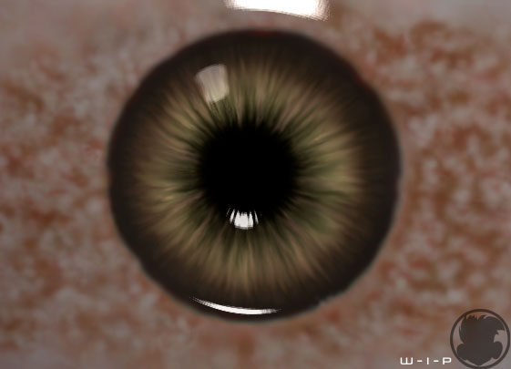 eyeBallColor.jpg