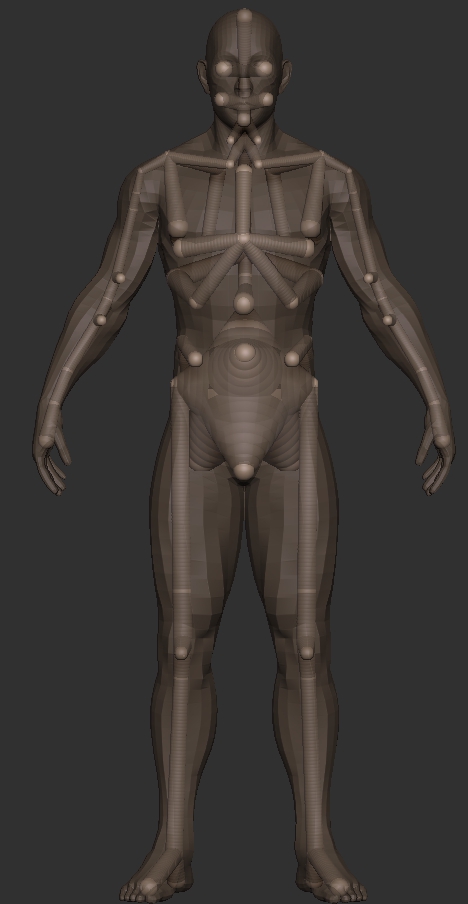 zskeleton.jpg