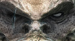 thumb.jpg