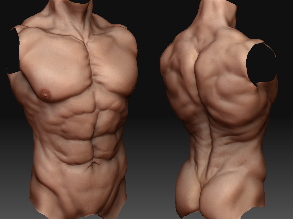 Body Sculpt руки