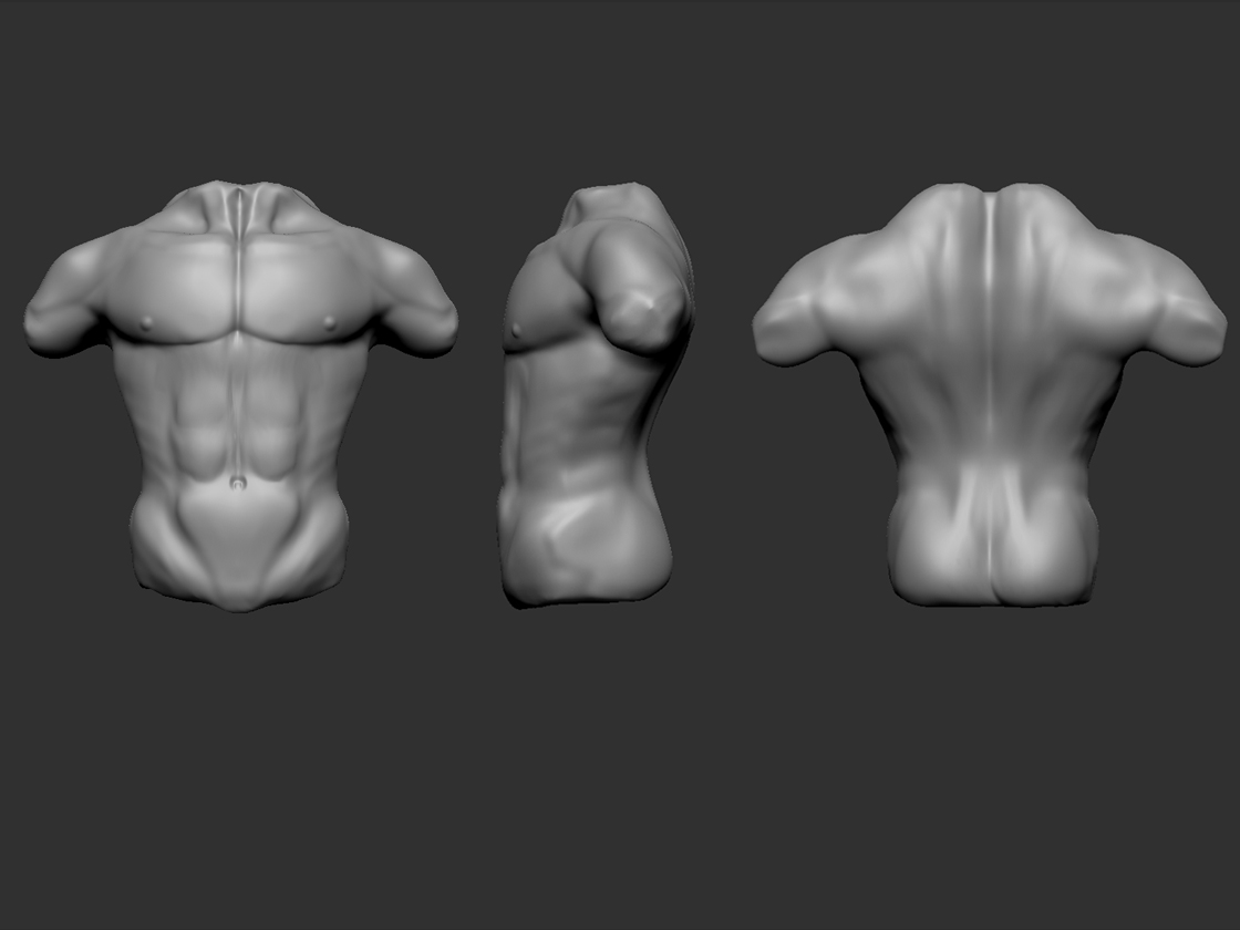 Torso.jpg