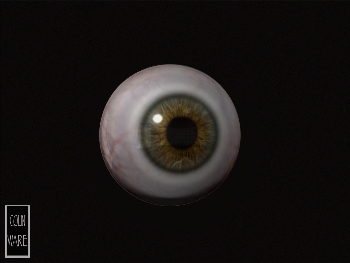 brown eye - Colin Ware 09.jpg