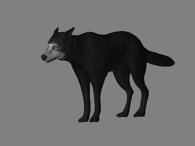 wolf_front.jpg