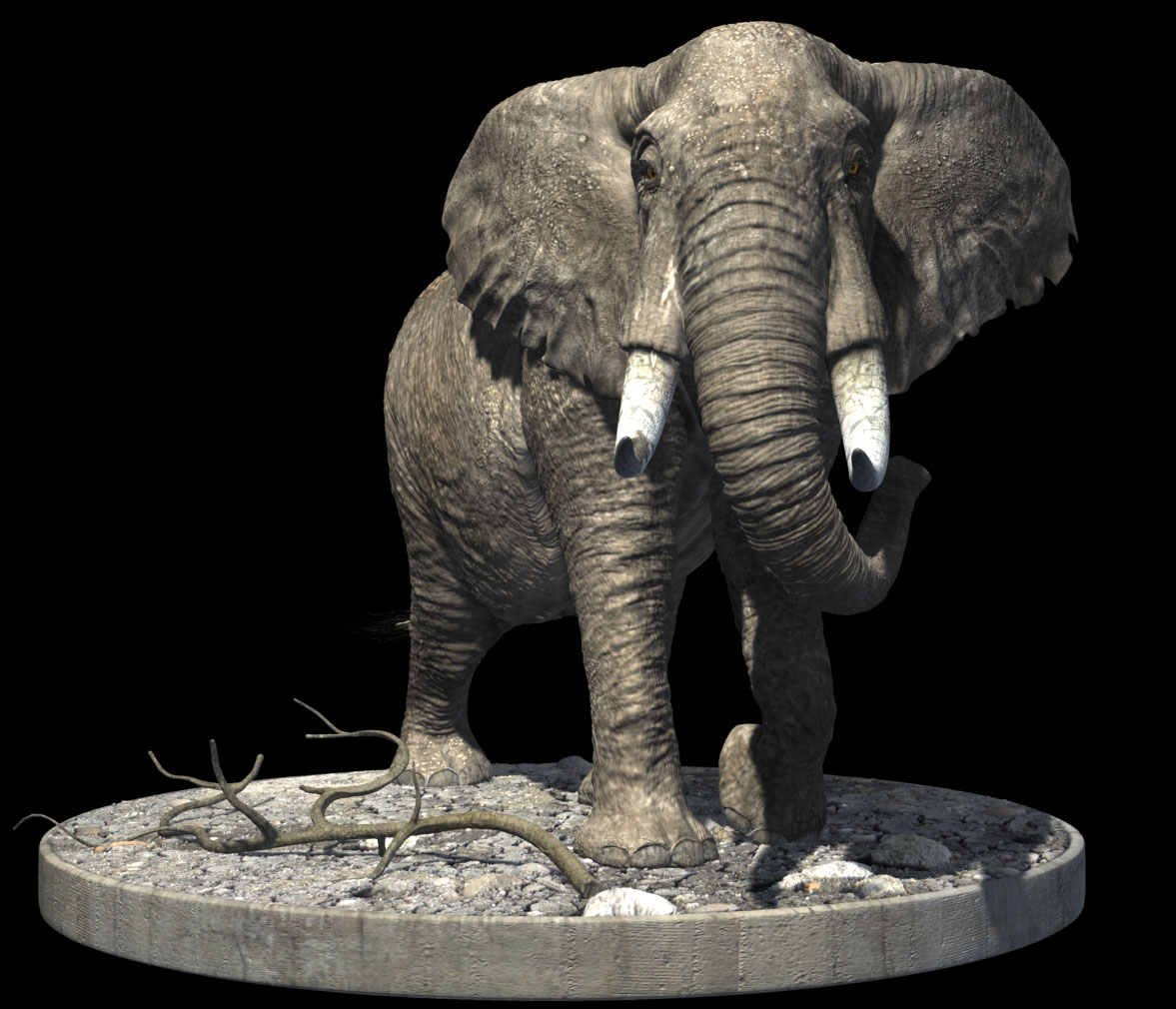 Elephant1.jpg