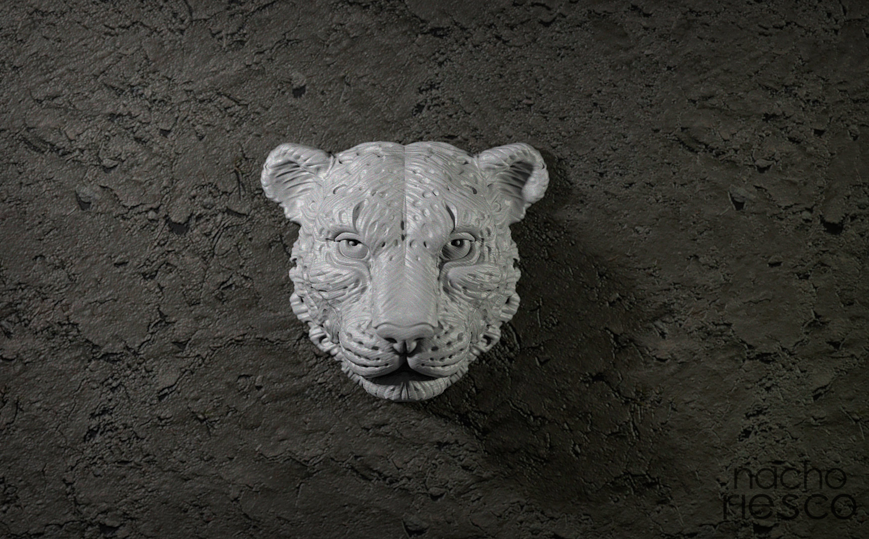 leopardo_500k.jpg