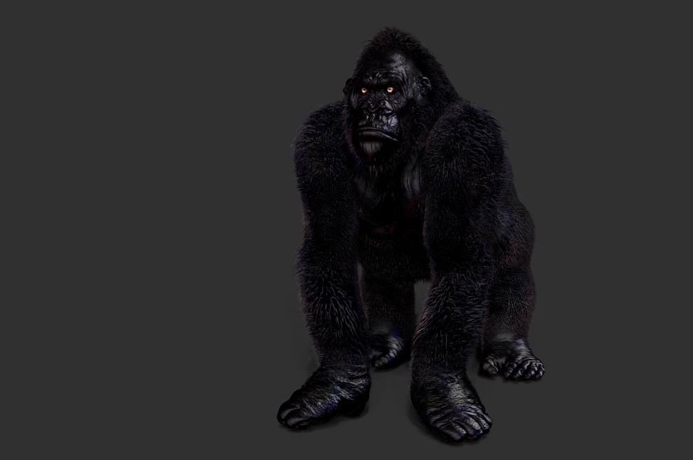 UGM_Gorilla_01.jpg