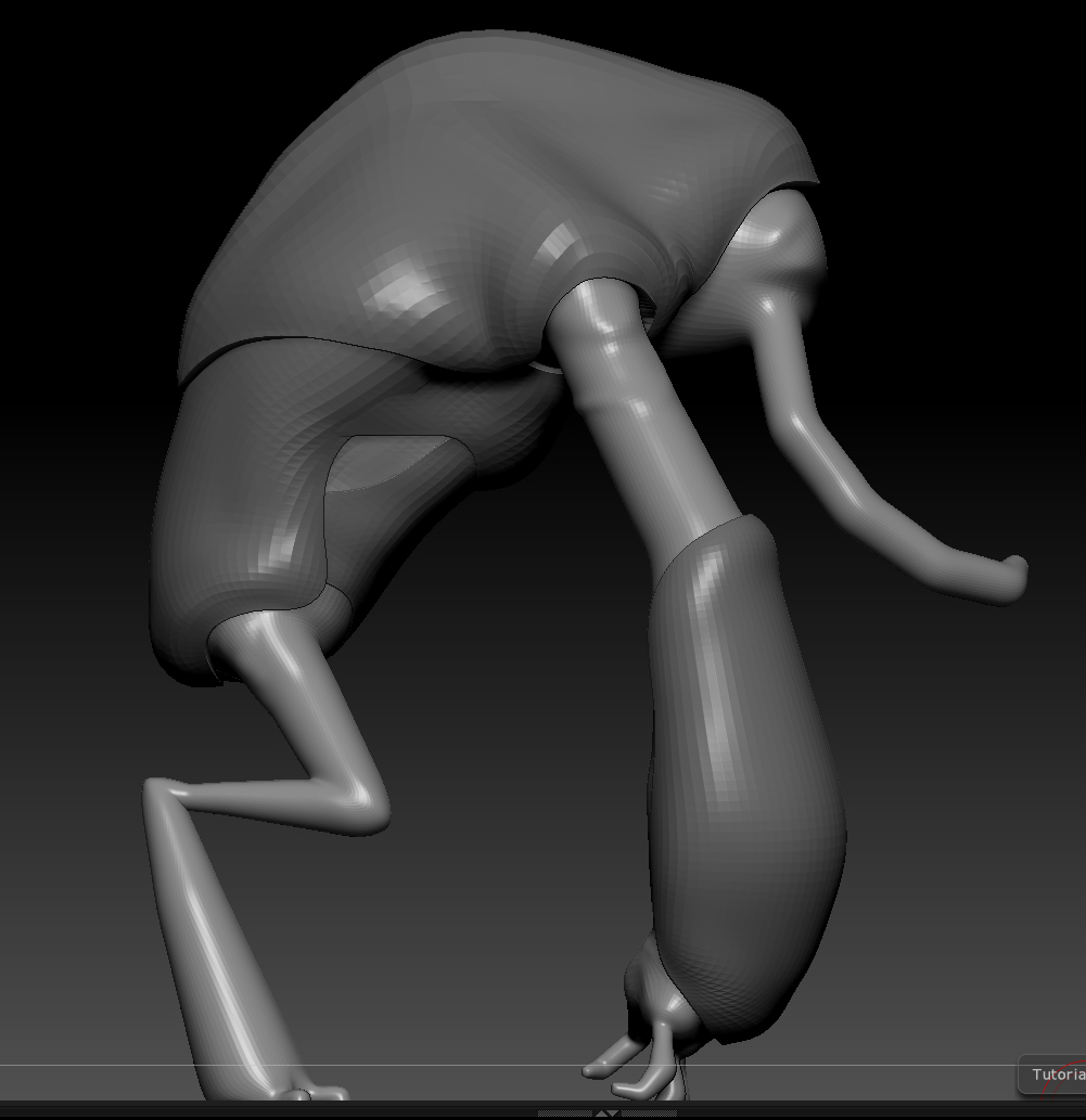 Shell_Umber.jpg