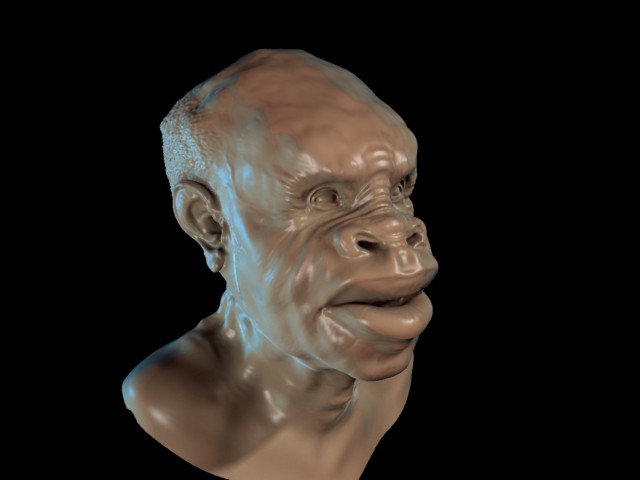 munitu.jpg
