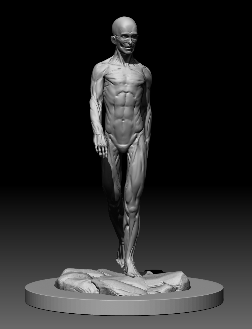 ecorche1.jpg