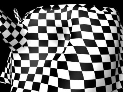 trunk_clean_checker.jpg