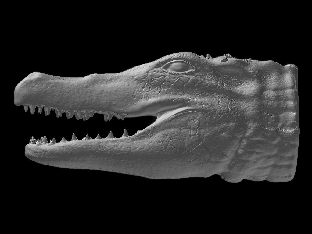 aligator_head_wip2.jpg