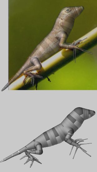 Image3.jpg